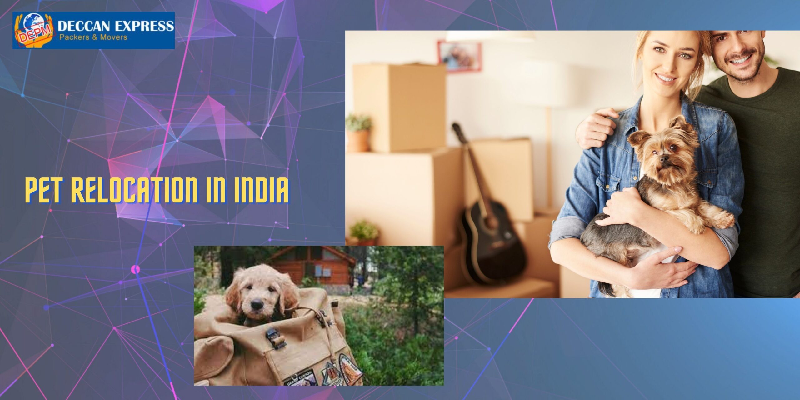 PET RELOCATION IN INDIA: USEFUL TIPS & TRICKS FOR MOVING WITH PETS